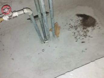 桐城卫生间测漏水价格明细