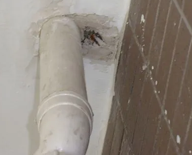 桐城漏水检测哪家好